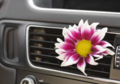 img-flower-aircon